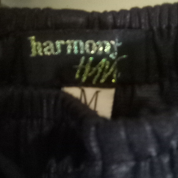 Harmony + Havoc Textured Retro  Metallic Club Pants - Picture 11 of 14